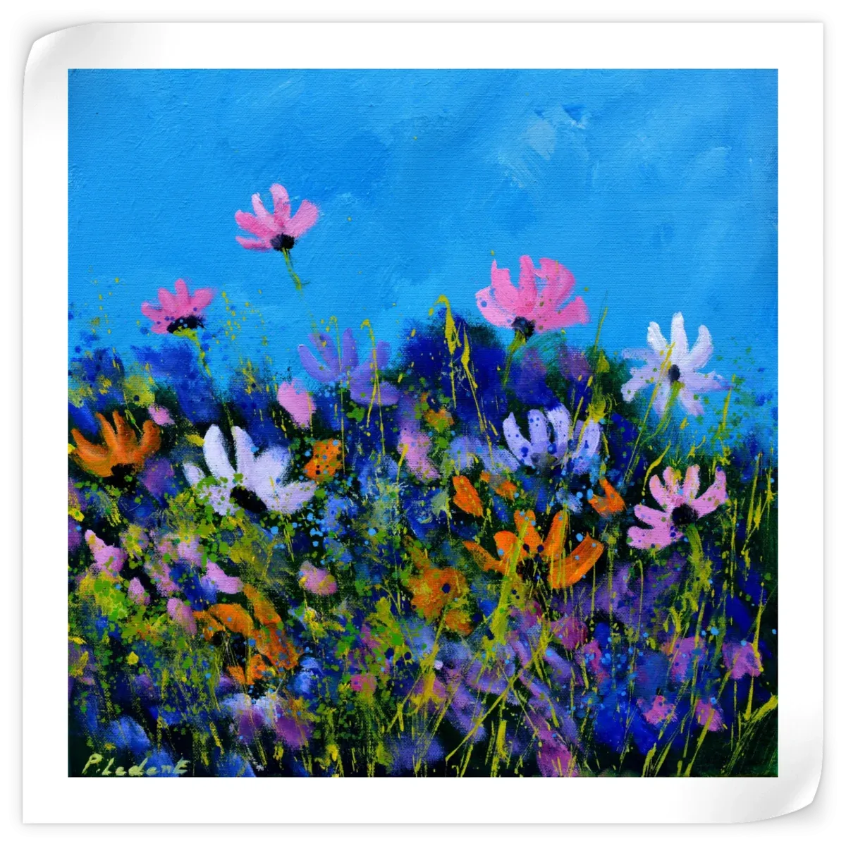 A Few Cosmos Flowers Wall Art