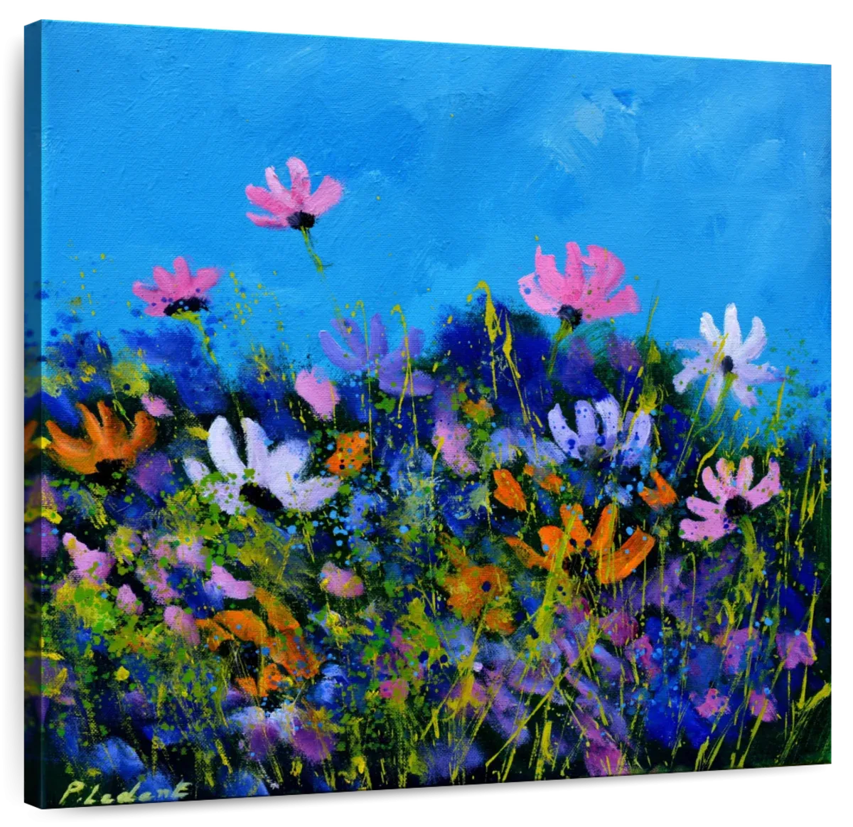 A Few Cosmos Flowers Wall Art
