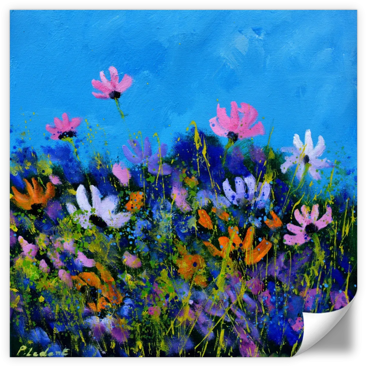 A Few Cosmos Flowers Wall Art