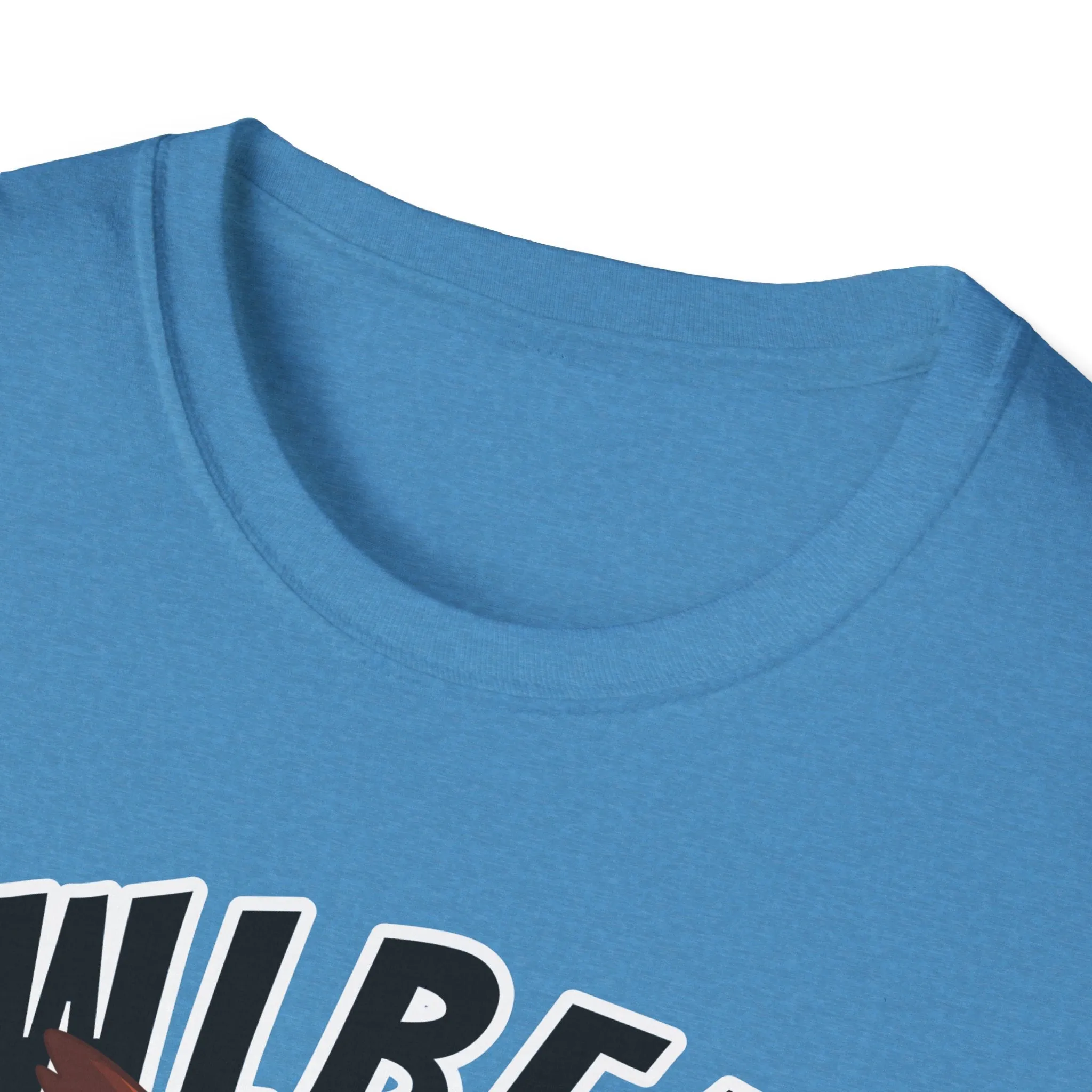 Owlbear Don't Care - Unisex Softstyle T-Shirt - Dungeon Master DM Shirt - Gamer Shirt
